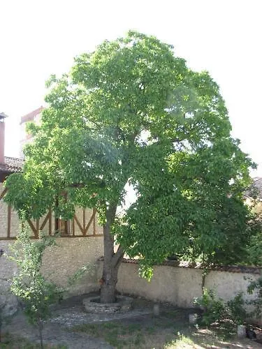 Santa Marina 아파트호텔 2*